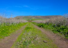 Grassy-Road-to-Mountain Royalty Free Stock Photography Grassy-Road-to-Mountain Royalty Free Stock Photography