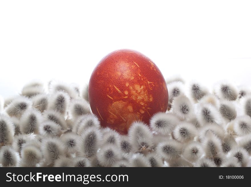 Easter egg on White isolated background