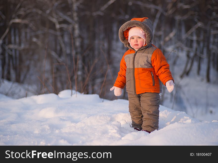 Cute adorable baby stay near ski protection fence with forest on background and look to skiers on mountain track. Cute adorable baby stay near ski protection fence with forest on background and look to skiers on mountain track
