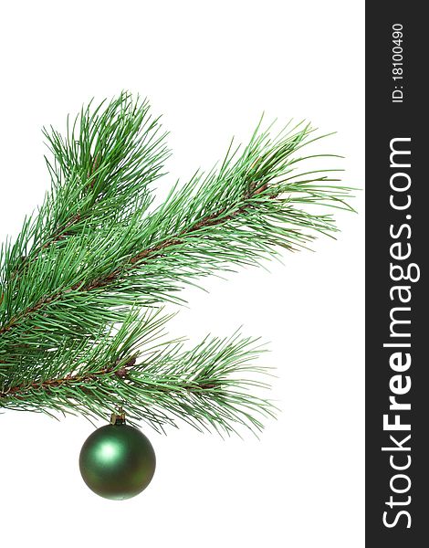 Fir-twig with christmas ball