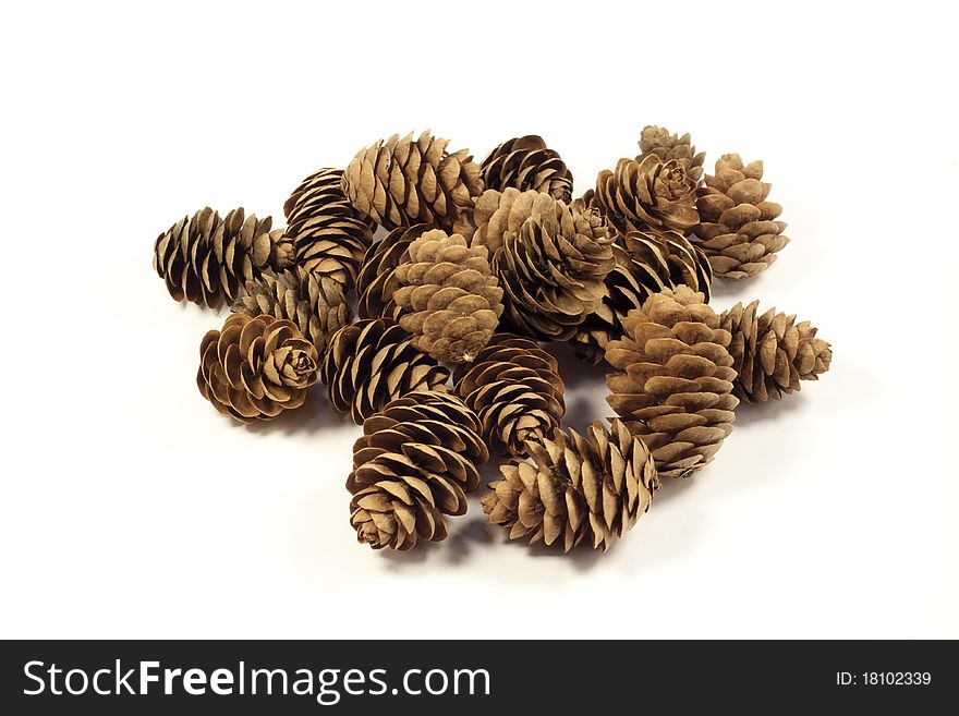 Photo of pine cones on a white background