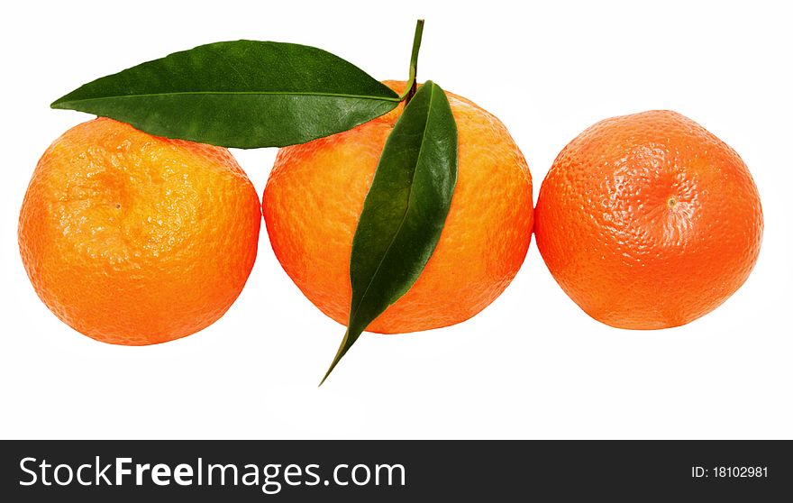 Three mandarins isolated ona white background