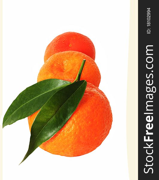 Three mandarins vertically in a row isolated on a white background
