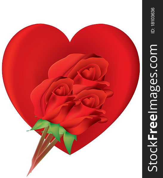 Valentine heart with three roses and white background. Valentine heart with three roses and white background