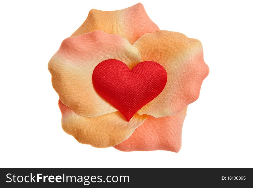 Heart flower isolated on white background