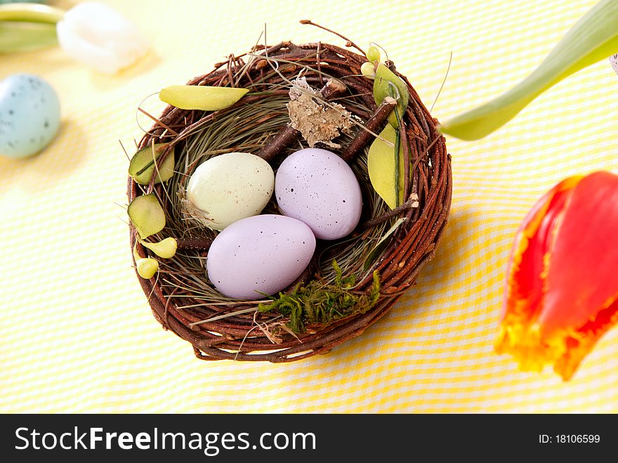 Easter eggs in birds nest decorated with tulip flower