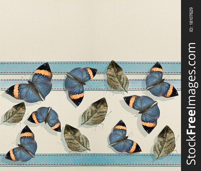 Butterfly and Ribbon border background. Butterfly and Ribbon border background.