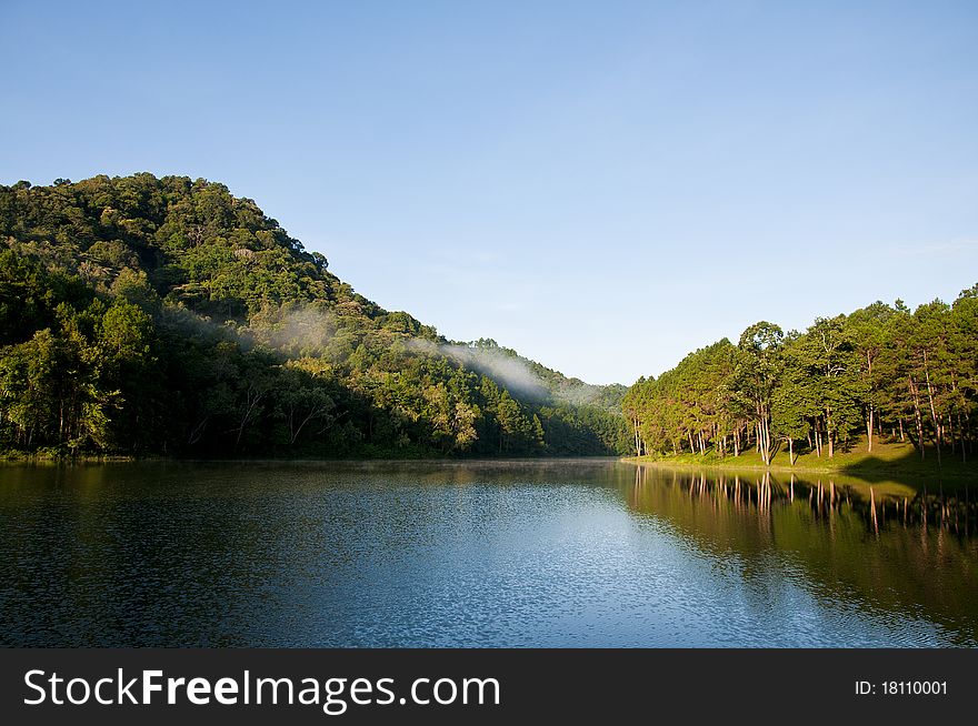 Freshwater lake in deep forest