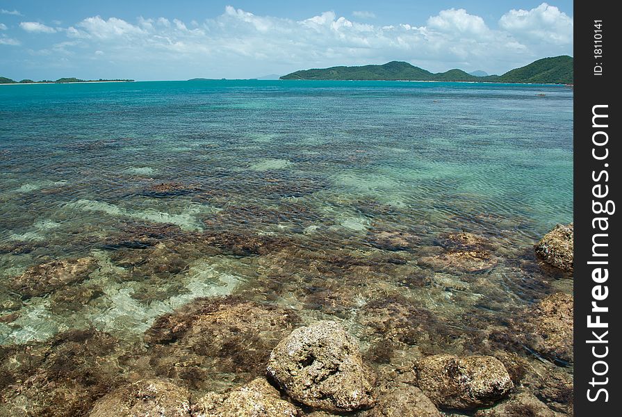 Seascape of coral beach with clear water.