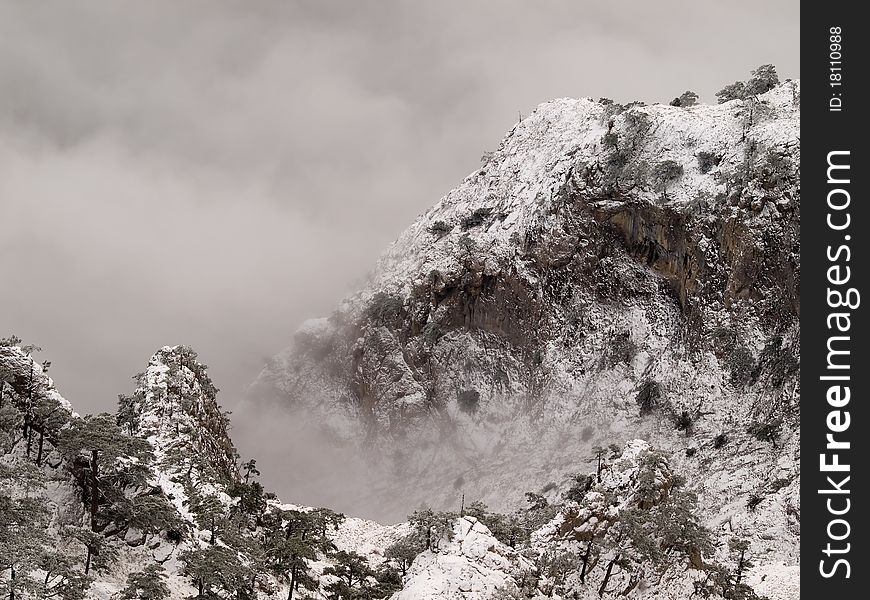 Snowy mountains with trees and fog. Snowy mountains with trees and fog.