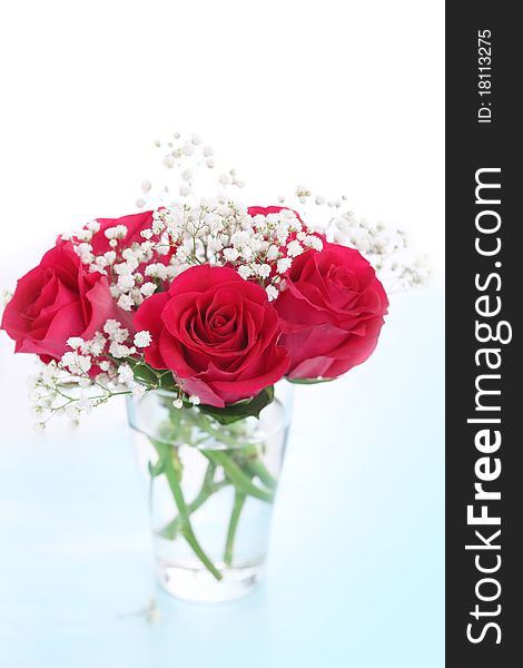 Bouquet of pink roses on white background