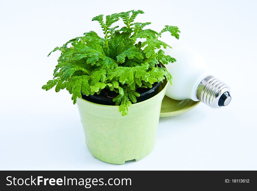 Green energy, light bulb in green pot