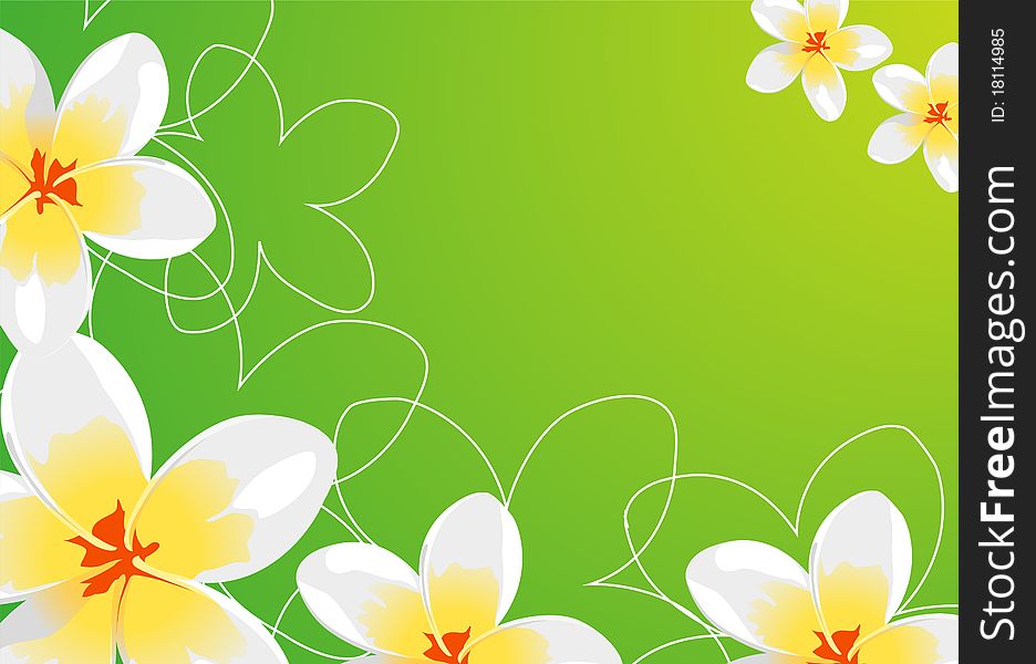 Beautiful Floral background (white flowers on green)