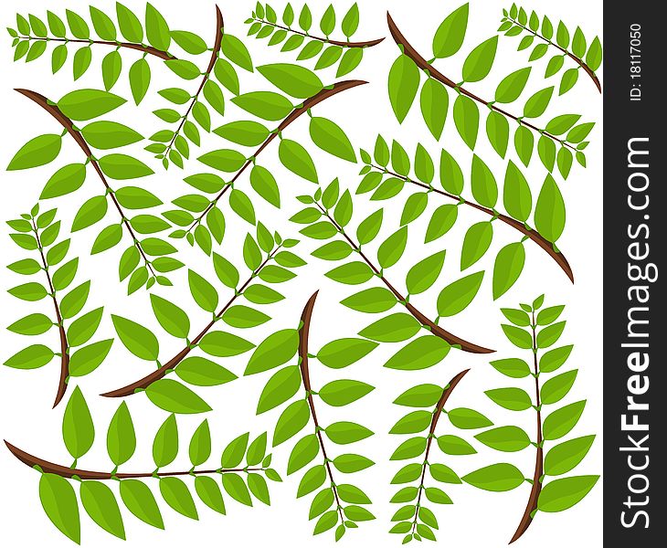 Green leaves background. Vector illustration. Green leaves background. Vector illustration