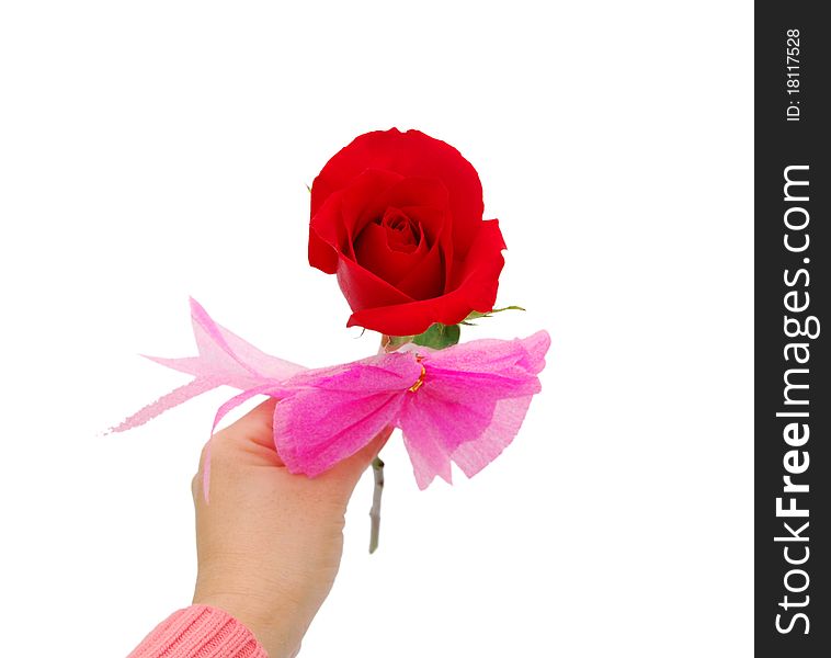 Woman holding rose in the hand as a gift