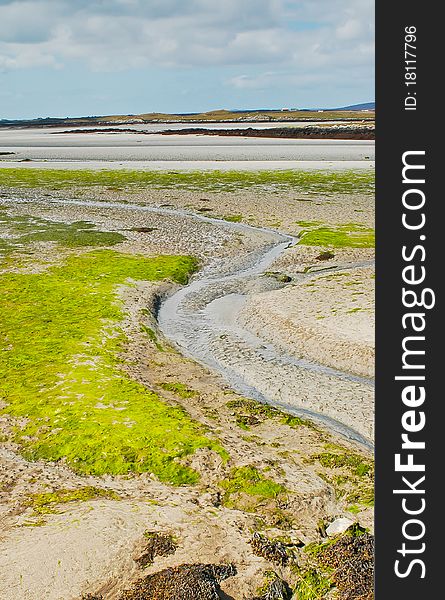 The isle of uist, north west of scotland mainland; a sandy isle with vibrant green algae. The isle of uist, north west of scotland mainland; a sandy isle with vibrant green algae