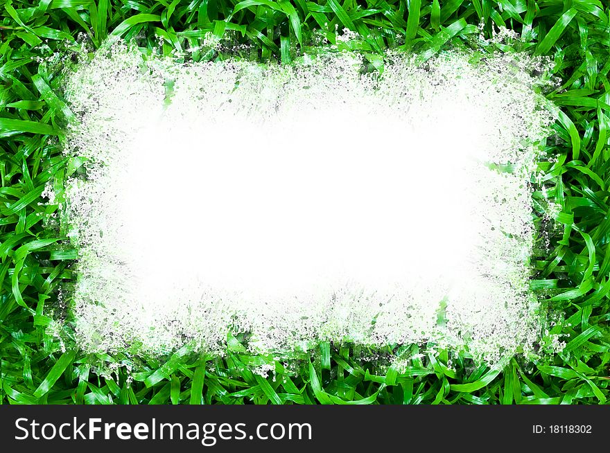 Green grass isolated on white