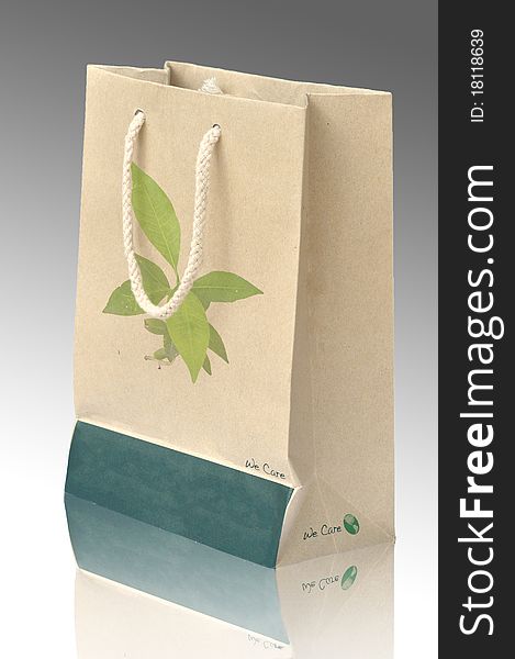 Concept Picture Of Recycle Paper Bag