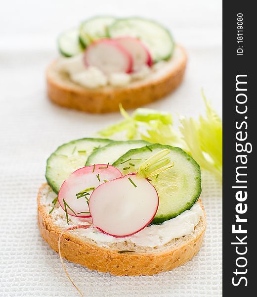 Healthy sandwich with
 cottage cheese, radish and cucumber