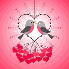 Love Birds Stock Photos Love Birds Stock Photos