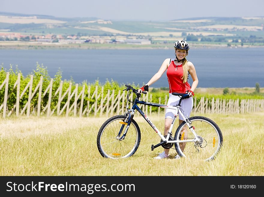 Biker near vineyard, Nove Mlyny dam, Czech Republic