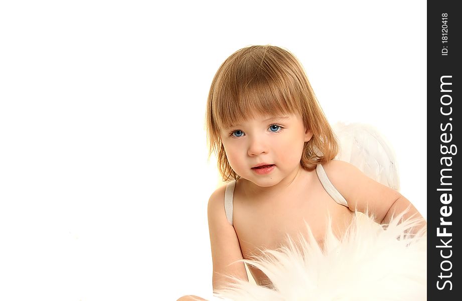 Cute little angel on white. Cute little angel on white