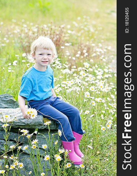 Little girl sitting on summer meadow in blossom. Little girl sitting on summer meadow in blossom