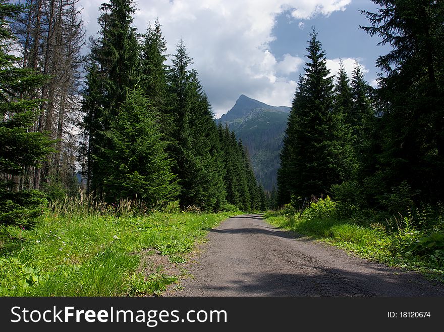 View of Krivan from Forest walking path, High Tatras National Park, Slovakia