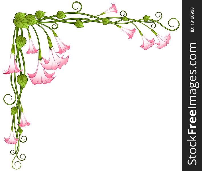 Background with beautiful pink lilies