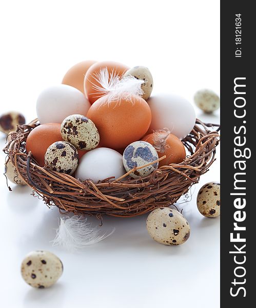 Different types of eggs in a nest with feathers on a white background. Different types of eggs in a nest with feathers on a white background