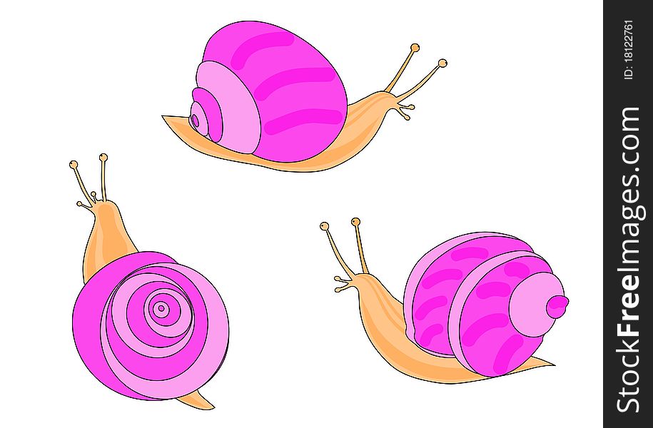 Three pink snail