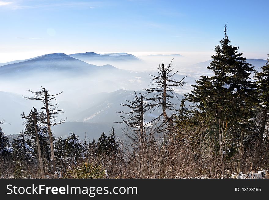 Misty fog in Beskydy mountains