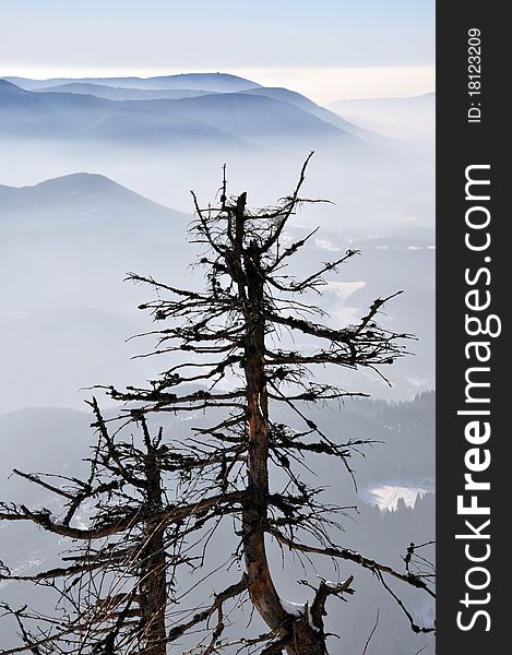 Misty fog in Beskydy mountains