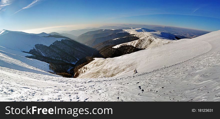 Snowy Mountain Ridges With Fir Tree Forest