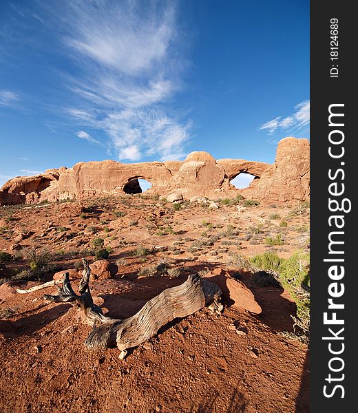 Strange rock formations at Arches National Park, USA