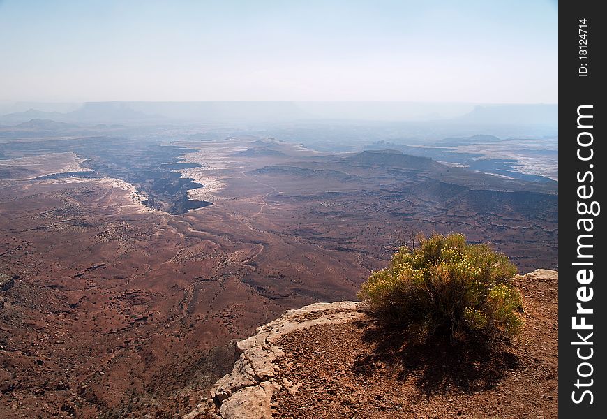 Strange rock formations at Canyonlands National Park, USA