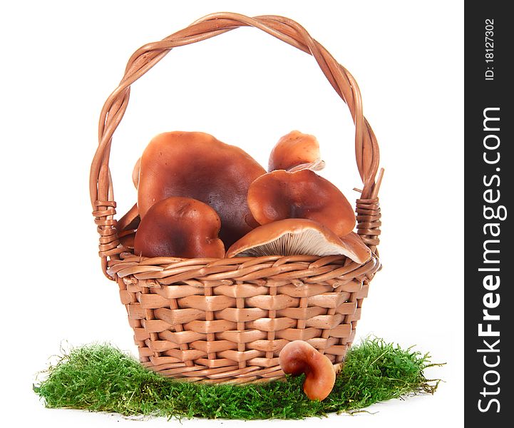 The image of a basket with the mushrooms, isolated, on a white background