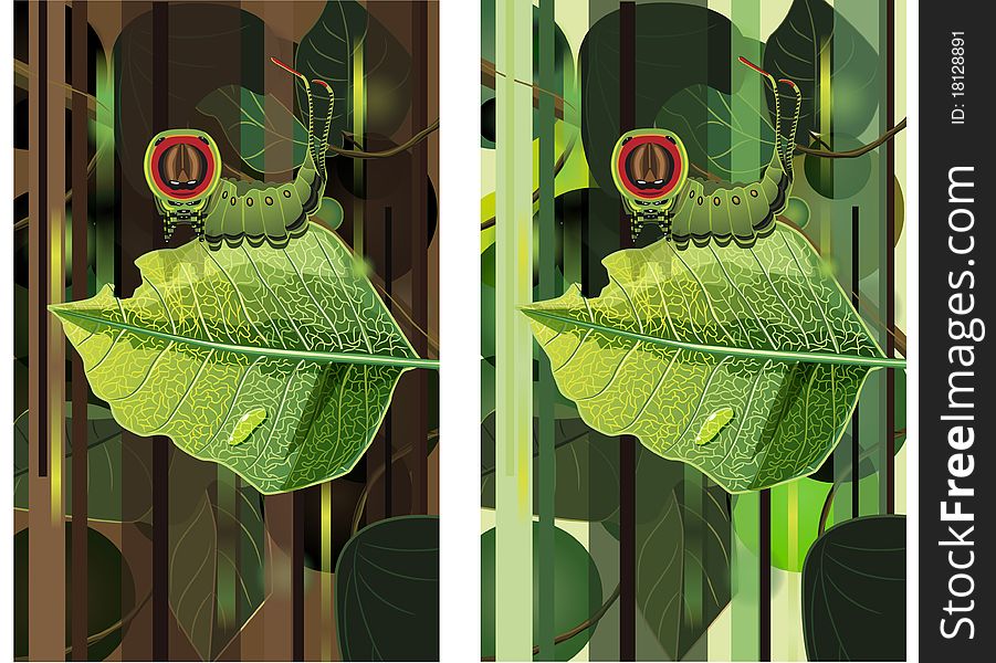 Vector illustration. Caterpilar on a leaf. Vector illustration. Caterpilar on a leaf