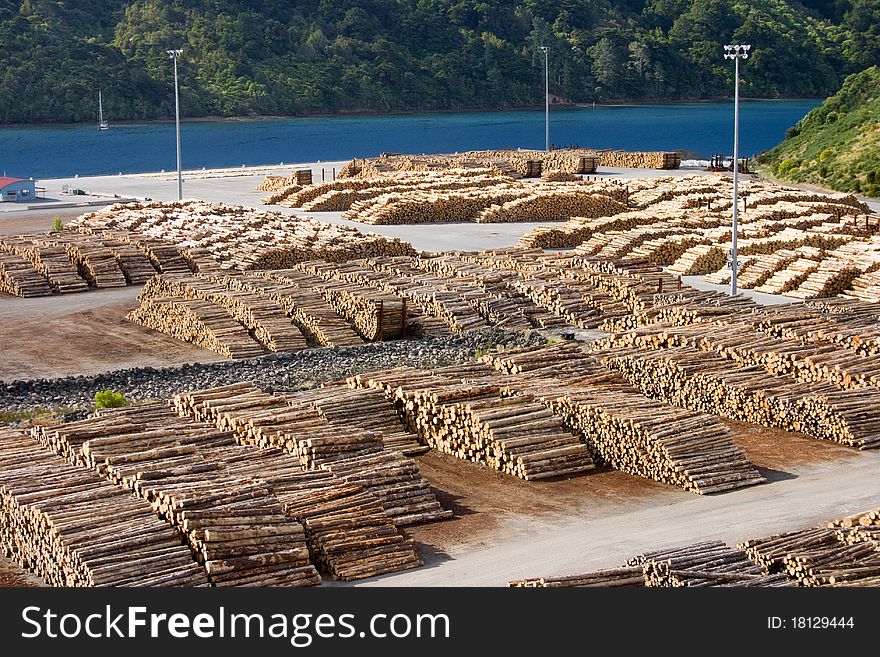 Timber logs reedy to be shipped in port of Picton, New Zealand. Timber logs reedy to be shipped in port of Picton, New Zealand.