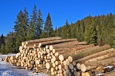 Wood Preparation Royalty Free Stock Image Wood Preparation Royalty Free Stock Image