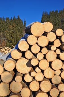 Wood Preparation Stock Image Wood Preparation Stock Image