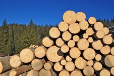 Wood Preparation Stock Images Wood Preparation Stock Images
