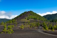 Beautiful Lava Landscape In La Palma Royalty Free Stock Images