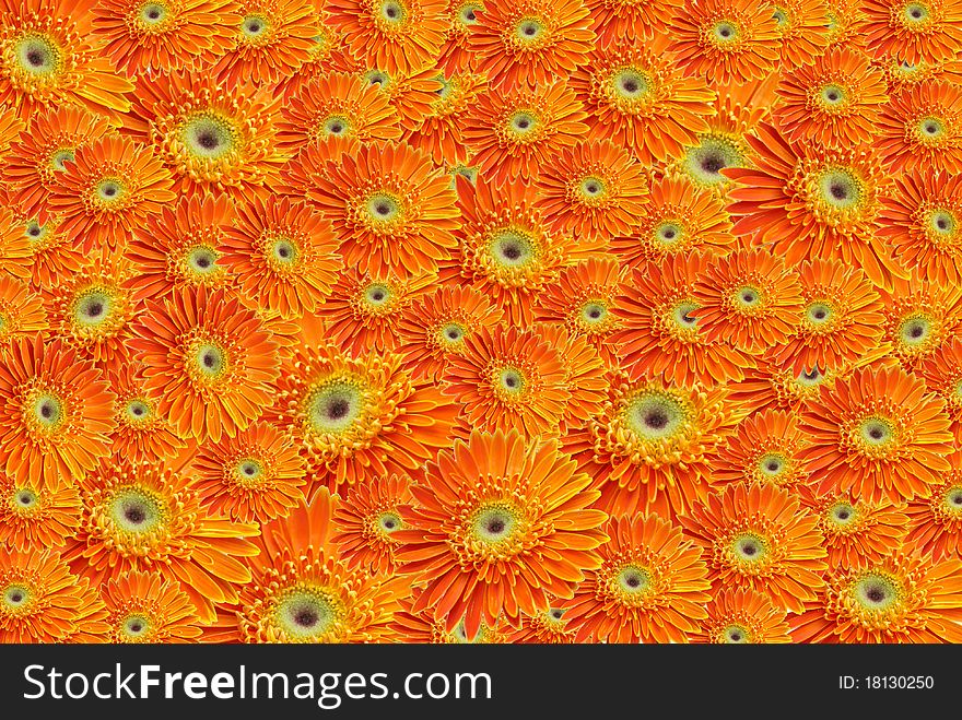 Single Orange Flowertiles
