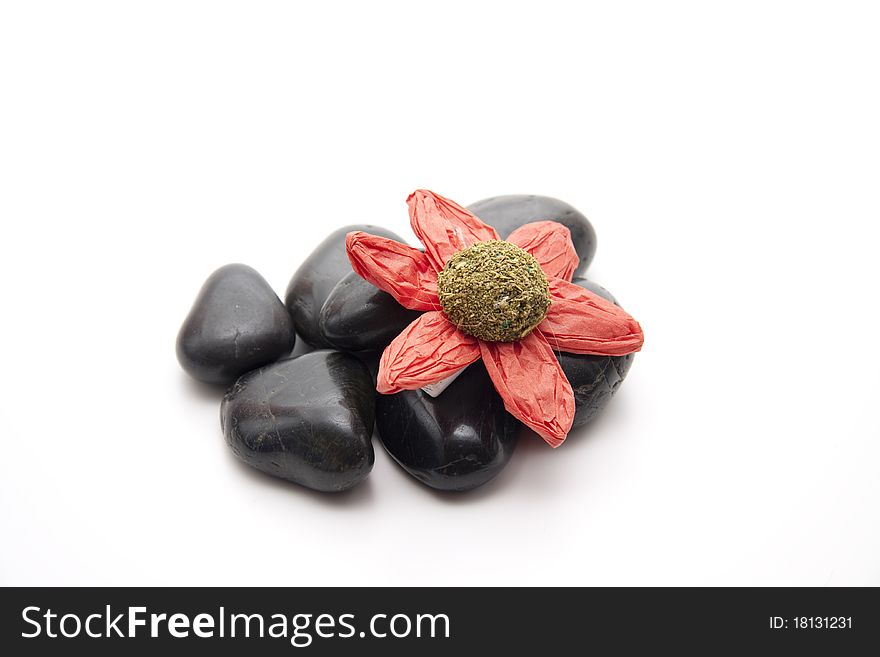 Flower blossom onto black stones