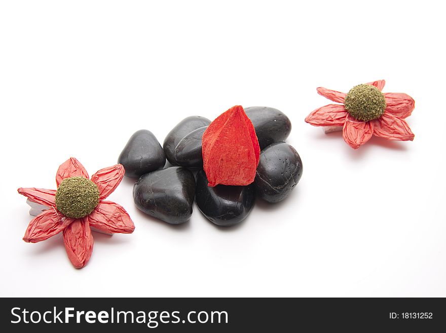 Flower blossom onto black stones