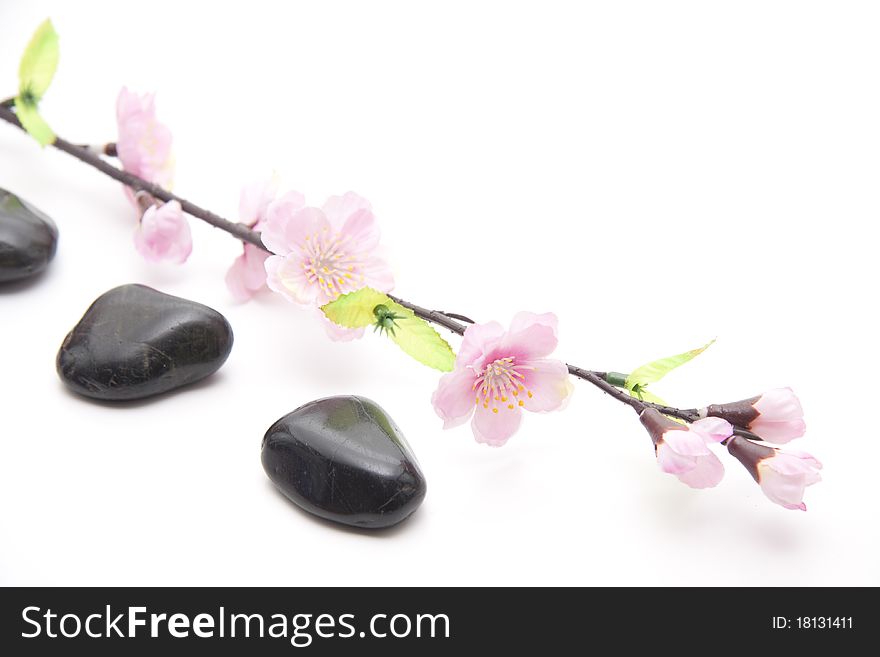 Black stones and branch with blossoms