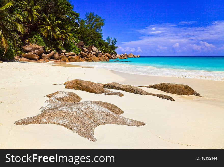 Tropical beach at island Praslin, Seychelles - vacation background