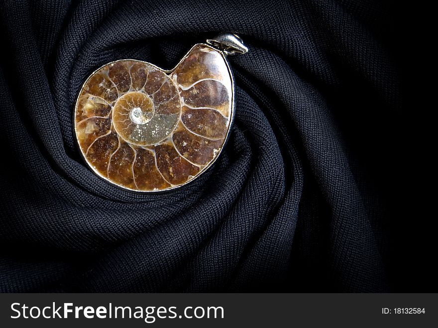 Ammonite conch on the black spiral background