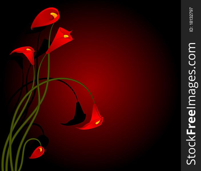 Beautiful tropical red lillies. illustration for a design